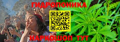 стафф Краснознаменск