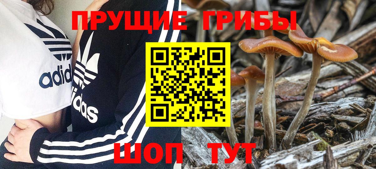 закладка  Псилоцибиновые грибы ЛСД  Вход с VPN  Бирск  Галлюциногенные грибы прущие грибы 